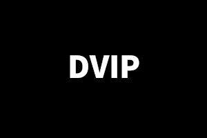 個人系列——年度《DVIP鉆石版》套餐（買兩年送一年）
