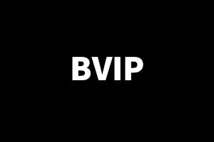 個人系列——年度《BVIP初階版》套餐